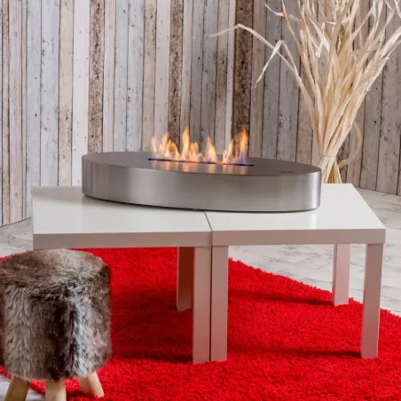 Caminetto organico freestanding Cambridge : Wikao Colore Acciaio inox spazzolato
