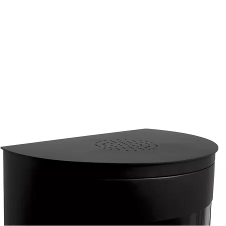 Stufa a legna a etanolo Bari 3 kW Colore Nero