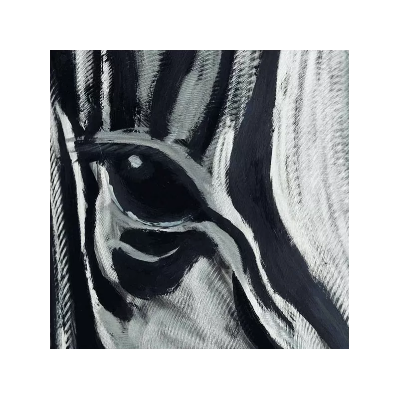Pittura zebrata, 100 x 100 cm