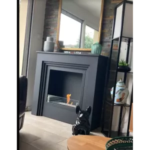 Caminetto organico a libera installazione Genova